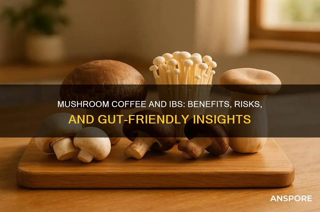 is mushroom coffee good for ibs