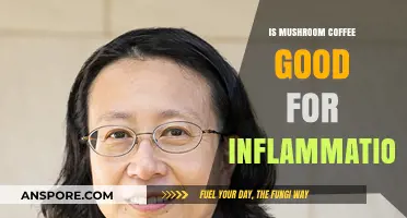 Mushroom Coffee and Inflammation: Benefits, Risks, and What Science Says