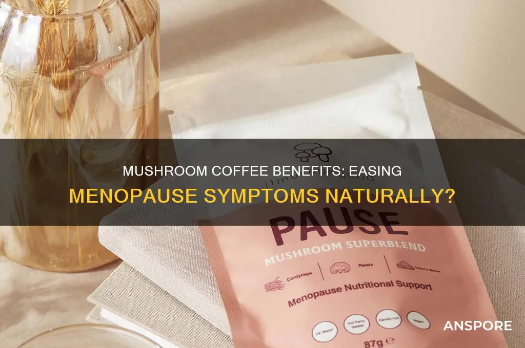 is mushroom coffee good for menopause