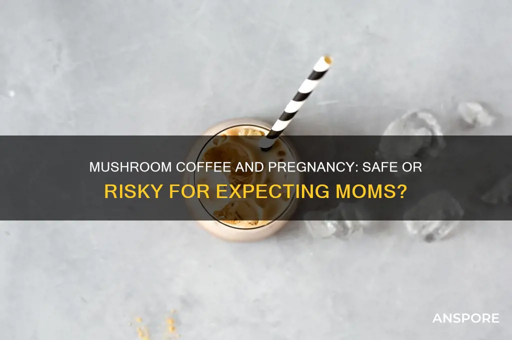 is mushroom coffee good for pregnancy