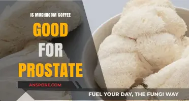 Mushroom Coffee and Prostate Health: Benefits, Risks, and Research Insights