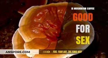 Mushroom Coffee and Libido: Boosting Sexual Health Naturally?