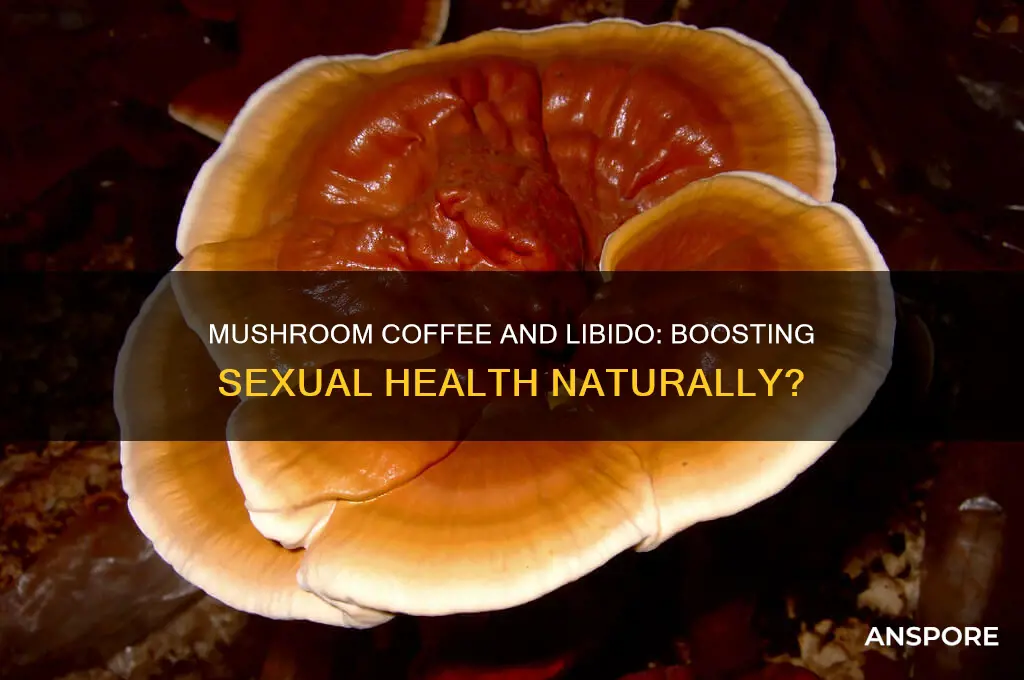 is mushroom coffee good for sex
