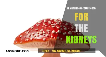 Mushroom Coffee and Kidney Health: Benefits or Risks?
