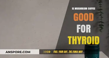 Mushroom Coffee and Thyroid Health: Benefits, Risks, and Considerations