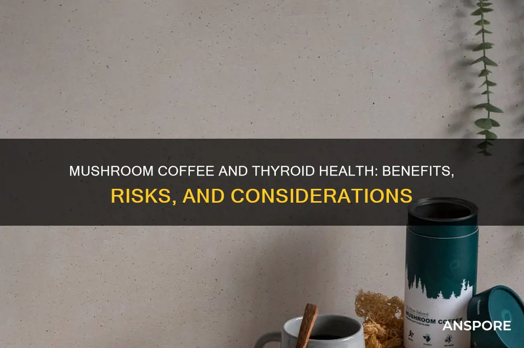 is mushroom coffee good for thyroid