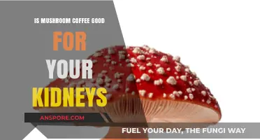 Mushroom Coffee and Kidney Health: Benefits or Risks Explained