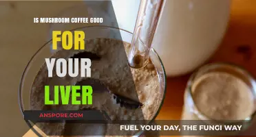 Mushroom Coffee and Liver Health: Benefits, Risks, and Facts