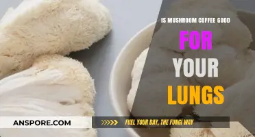 Mushroom Coffee and Lung Health: Benefits, Risks, and What to Know