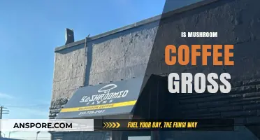 Mushroom Coffee: Delicious or Disgusting?