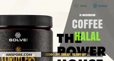 Mushroom Coffee Halal Status: What Muslims Should Know