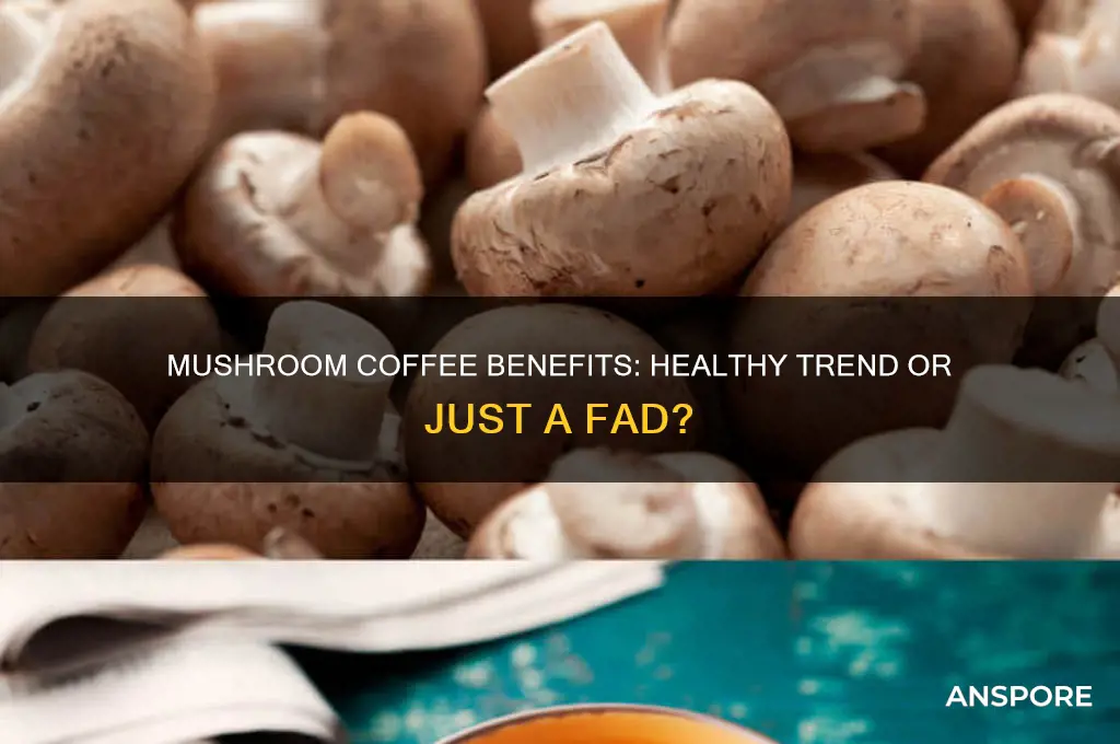 is mushroom coffee healthy for you