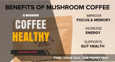 Mushroom Coffee: Healthy Brew or Just a Fad?