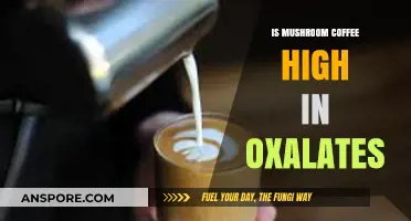 Mushroom Coffee and Oxalates: Uncovering the Truth About Kidney Health