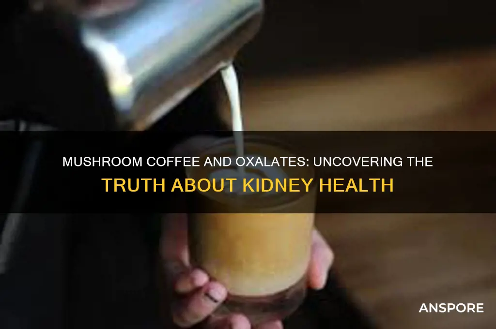 is mushroom coffee high in oxalates