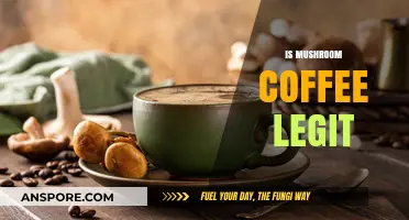 Mushroom Coffee: Legit or a Load of Crap?