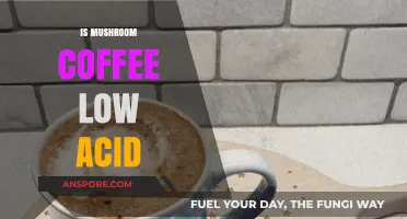 Mushroom Coffee: Low Acid, High Benefits