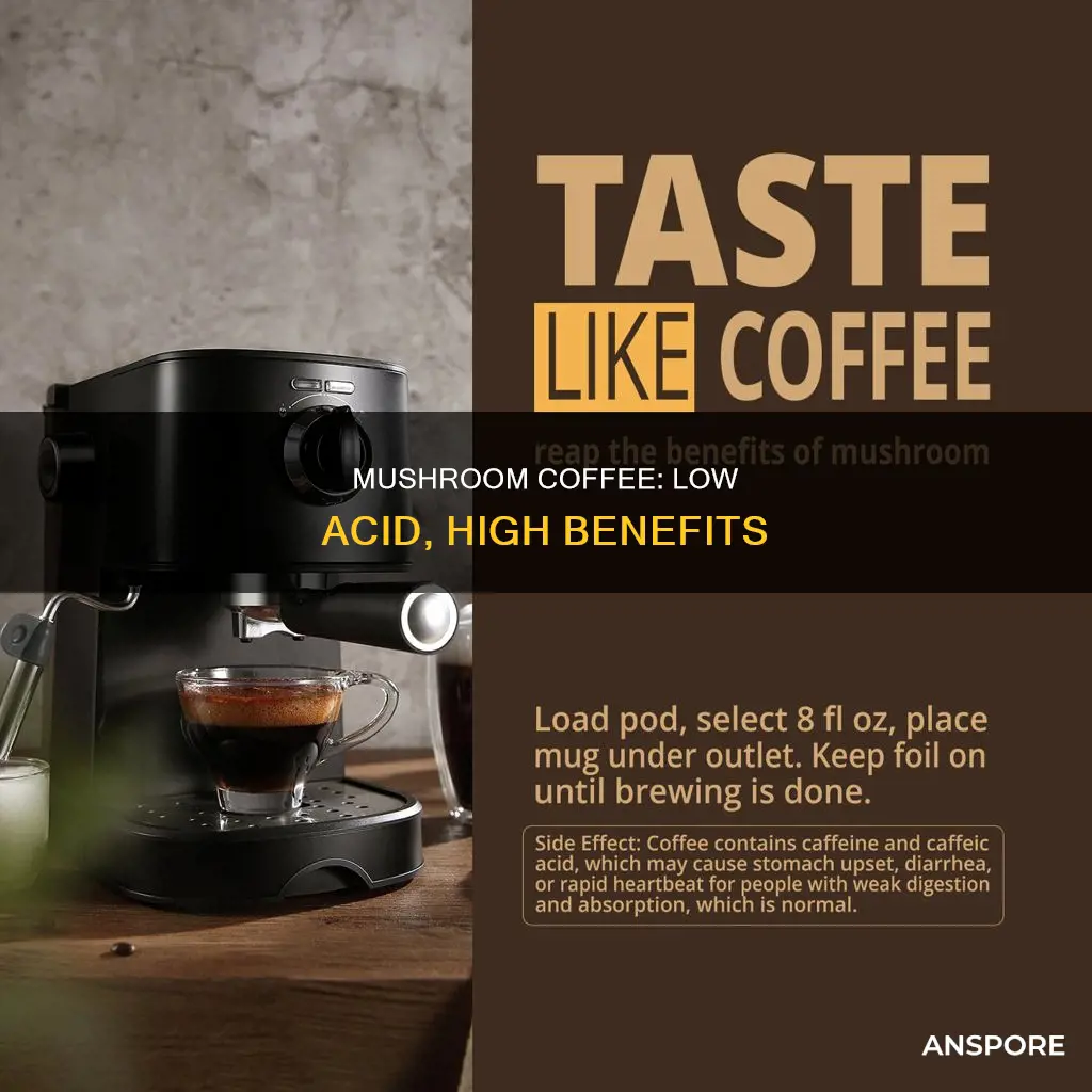 is mushroom coffee low acid