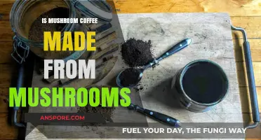 Mushroom Coffee Explained: Are Mushrooms Really in Your Brew?