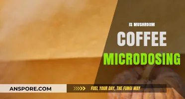 Mushroom Coffee Microdosing: A Magical Morning Brew