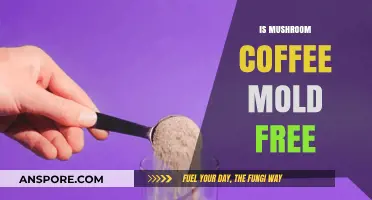 Mushroom Coffee: Mold-Free Brew?