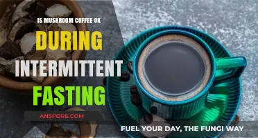 Mushroom Coffee and Intermittent Fasting: Benefits or Breaking the Fast?