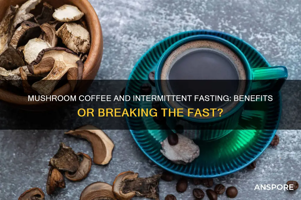 is mushroom coffee ok during intermittent fasting