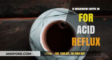 Mushroom Coffee and Acid Reflux: Safe or Irritating?