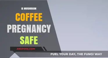 Pregnant and Wondering: Is Mushroom Coffee Safe?