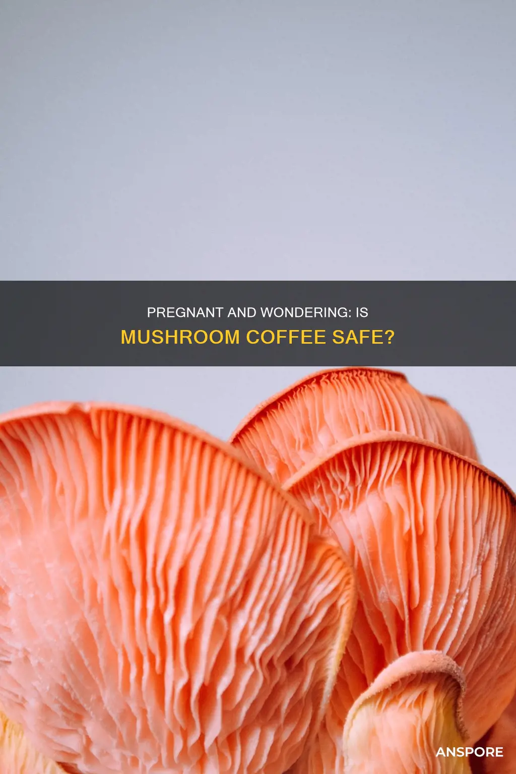is mushroom coffee pregnancy safe