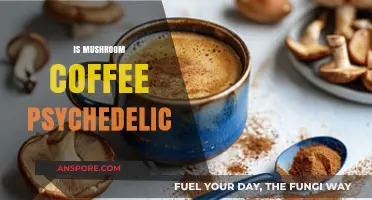 Mushroom Coffee: A Psychedelic Brew?