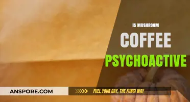 Mushroom Coffee: A Psychoactive Brew?