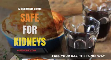 Mushroom Coffee and Kidney Health: Safe or Risky Choice?