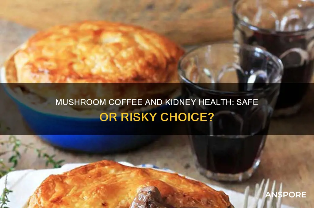 is mushroom coffee safe for kidneys