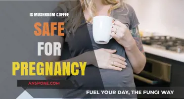 Mushroom Coffee and Pregnancy: Safety Concerns and Expert Advice