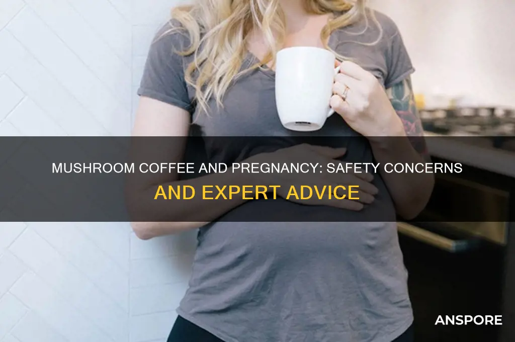 is mushroom coffee safe for pregnancy