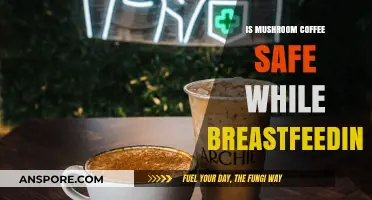 Mushroom Coffee and Breastfeeding: Safety Concerns and Expert Advice