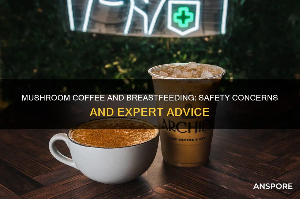 is mushroom coffee safe while breastfeeding