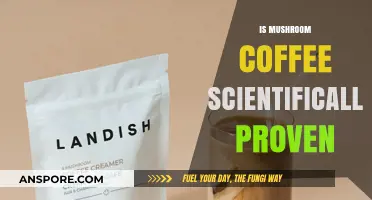 Mushroom Coffee: Science-Backed Super Drink?