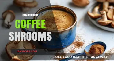 Mushroom Coffee: Shrooms or Superfood?