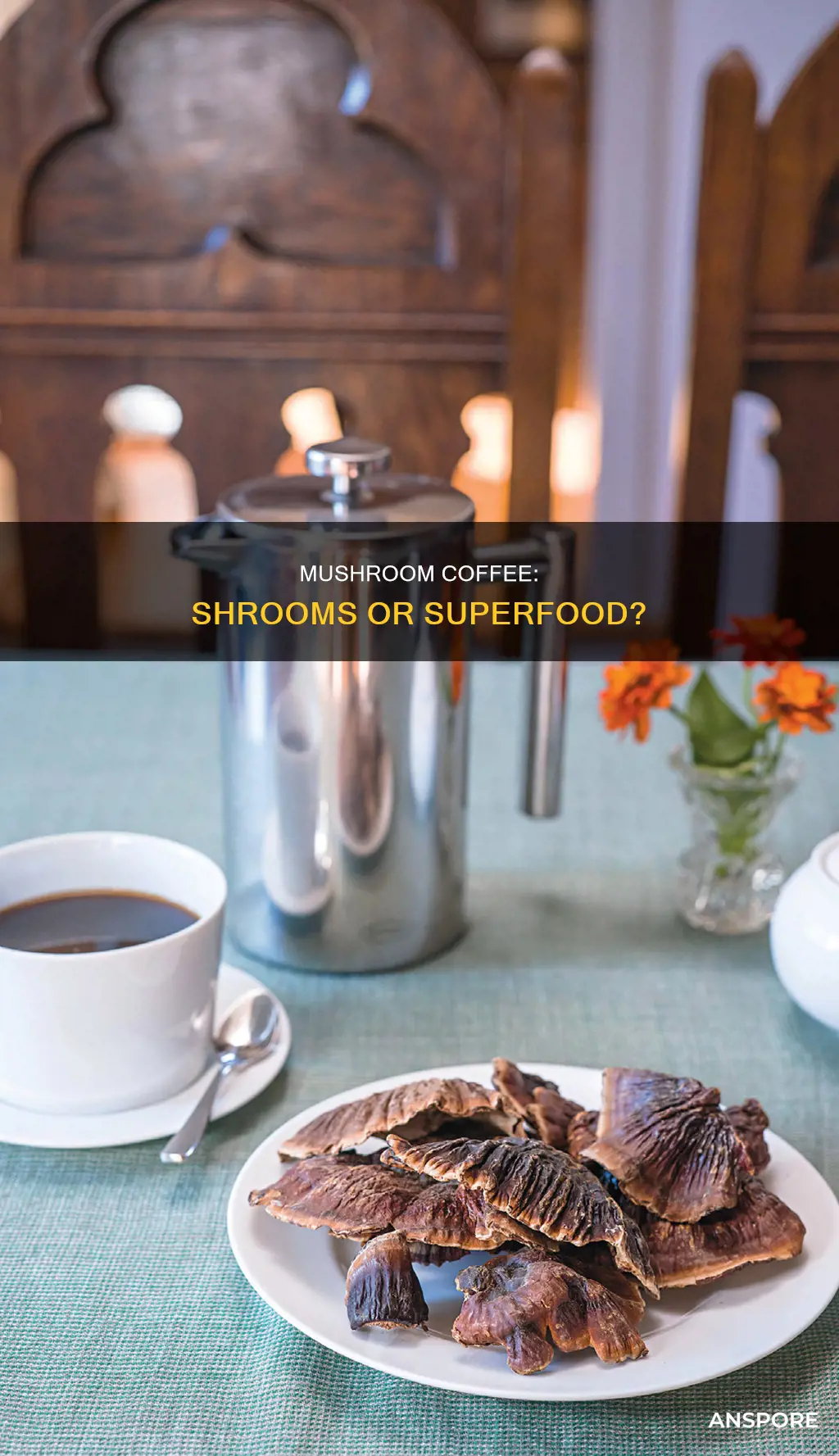 is mushroom coffee shrooms