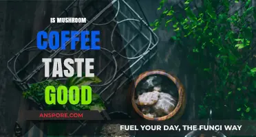Does Mushroom Coffee Taste Good? A Honest Flavor Review