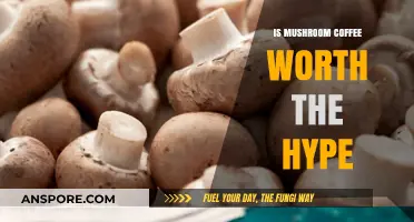 Mushroom Coffee Craze: Hype or Healthy Superfood Boost?