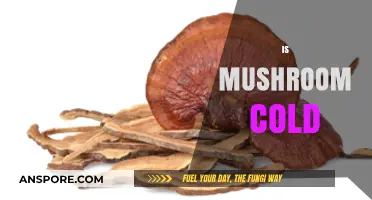 Mushroom Storage: Cold or Room Temperature?