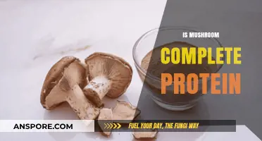 Mushroom Protein Power: The Complete Picture