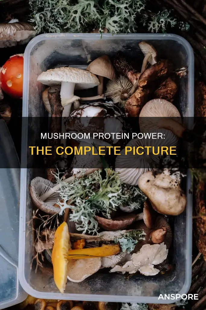 is mushroom complete protein
