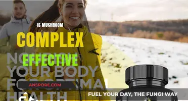 Mushroom Complex: Does It Work?