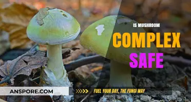 Mushroom Complex: Is It Safe?