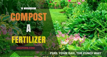 Mushroom Compost: Fertilizer or Not?