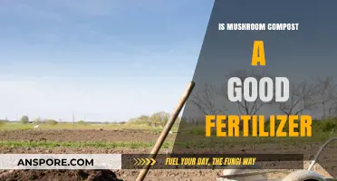 Mushroom Compost as Fertilizer: Benefits, Uses, and Gardening Tips